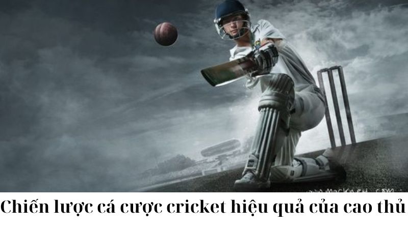 Bí quyết cá cược cricket hiệu quả