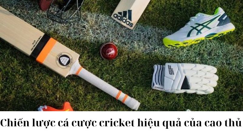 Cá cược cricket: Hướng dẫn và chiến lược