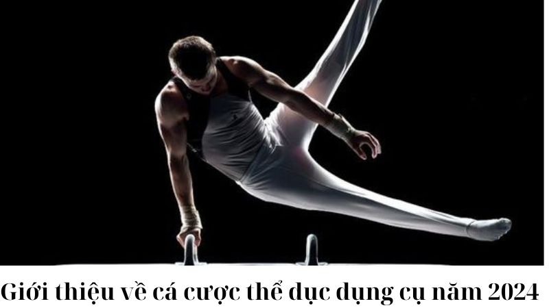 Lợi ích của việc cá cược thể dục dụng cụ