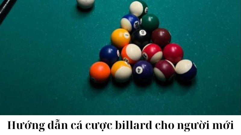 Giới thiệu về Cá cược Billard