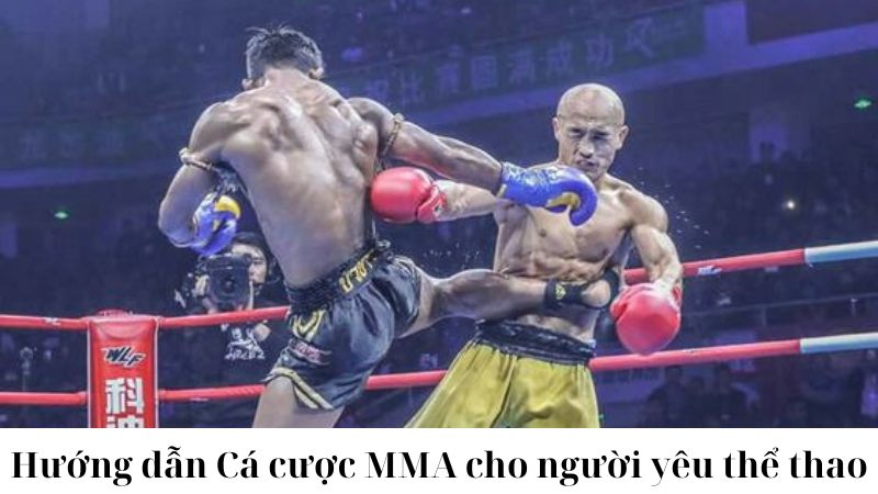 Cách thức cá cược trên các trận đấu MMA