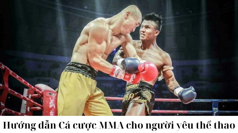 Giới thiệu về Cá cược MMA