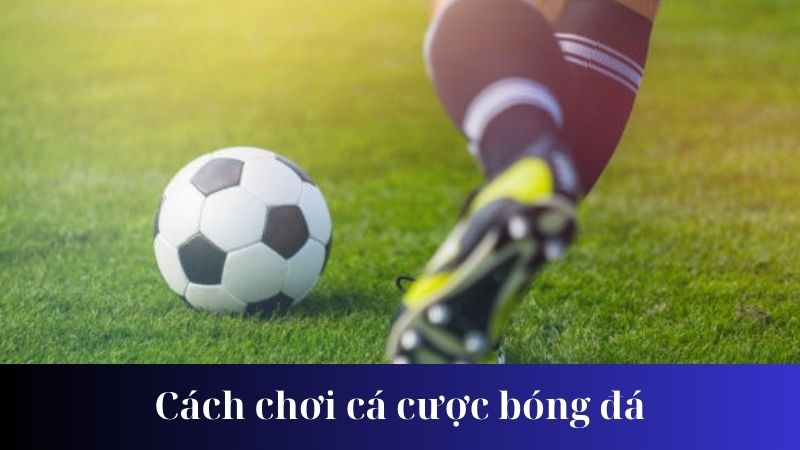 Các chiến lược chơi cá cược bóng đá hiệu quả