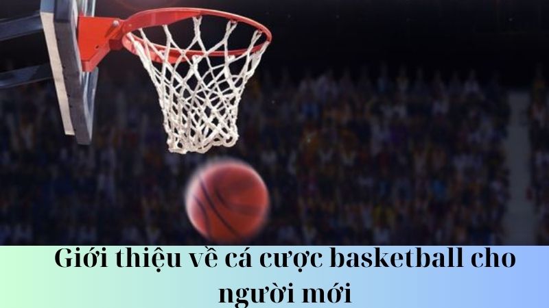 Chiến lược cá cược basketball hiệu quả