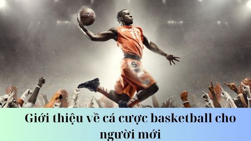 Cách chọn nhà cái uy tín để cá cược basketball