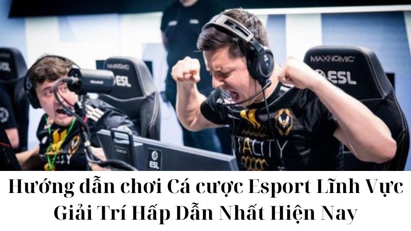 Một số lưu ý khi tham gia Cá cược Esport